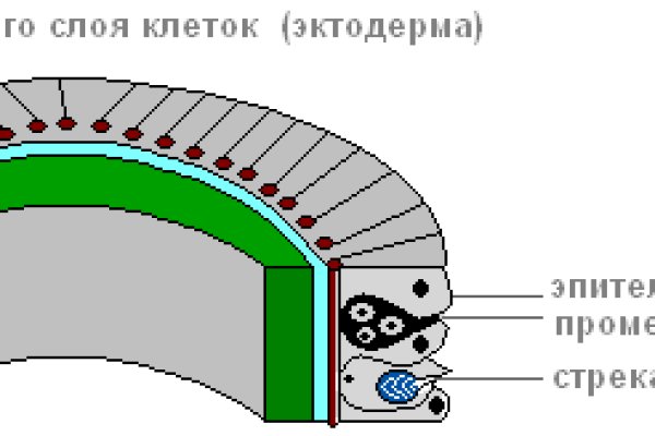 Кракен маркет