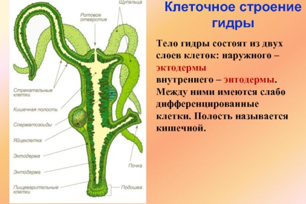 Kraken зеркало рабочее market